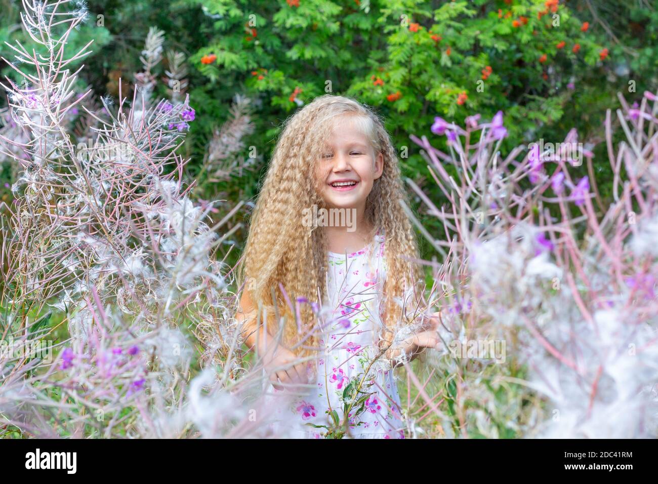 A little blonde girl of 5-6 years old in a white sundress stands surrounded by blooming Sally, fireweed. Long blonde curly hair, hairstyle. Summer, na Stock Photo