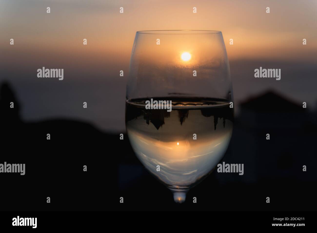 Fancy Glass of Chardonnay Wine Stock Photo - Image of object, alcohol:  29310328