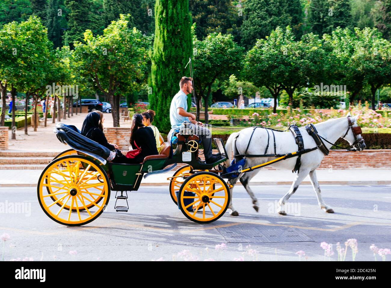 Ride horse-drawn carriage. Paseo del parque. Málaga, Andalucía, Spain, Europe Stock Photo