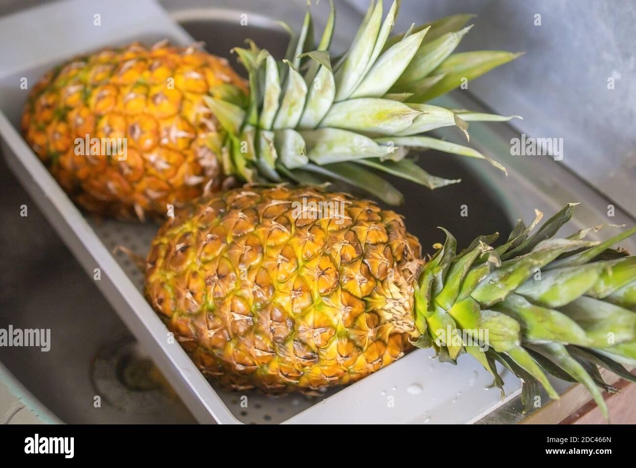 two ripe and juicy pineapples lie in the dryer after washing. Stock Photo