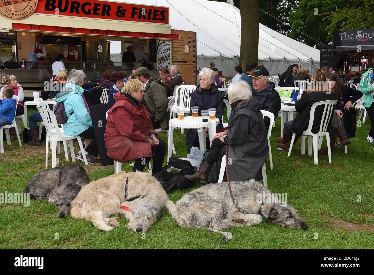 Dog tired! Sleeping dogs at catering area Staffordshire County Show Stock Photo