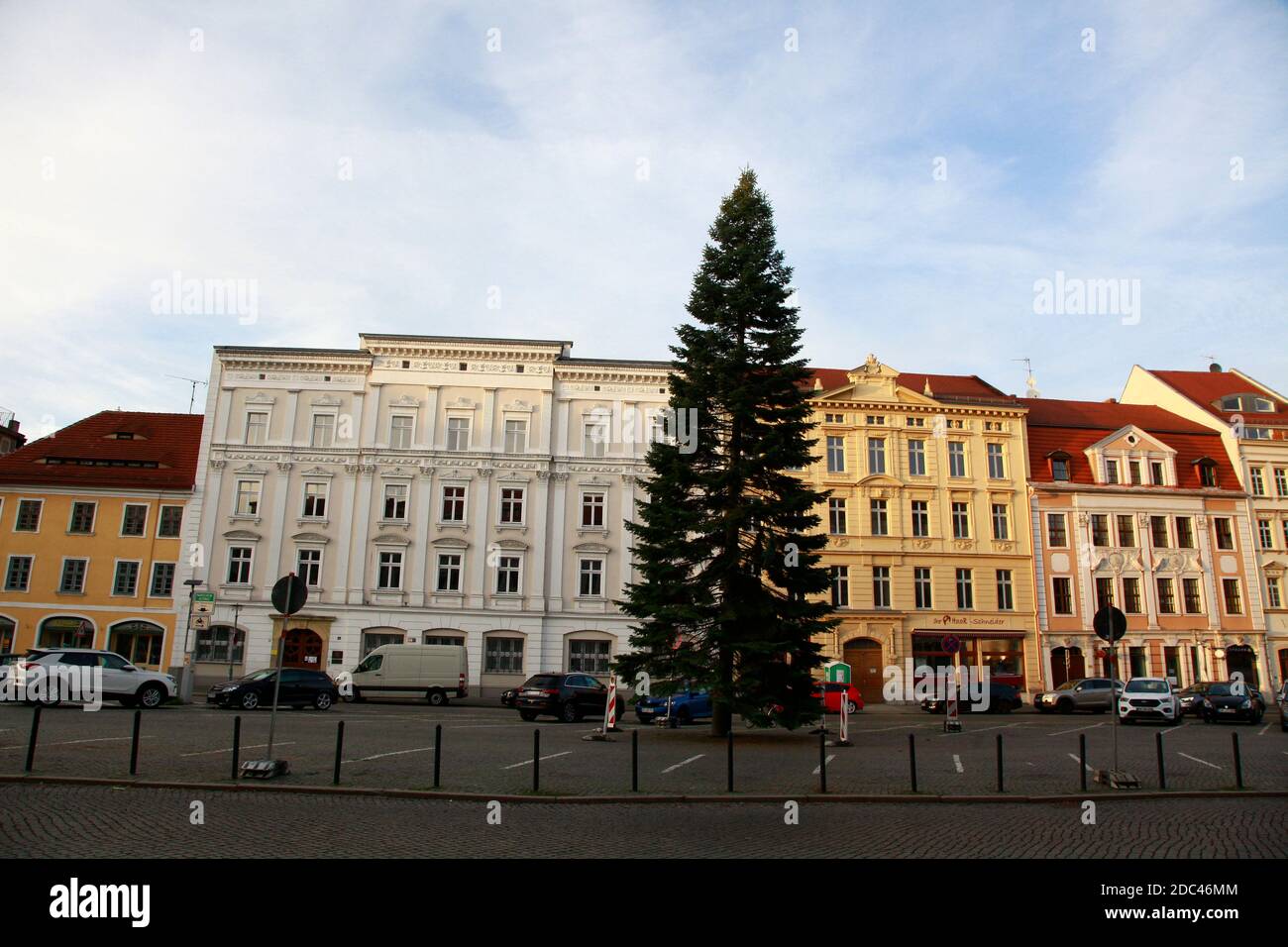 der weihnachtsbaum auf dem obermarkt in görlitz ist bischen in schieflage geraten Stock Photo