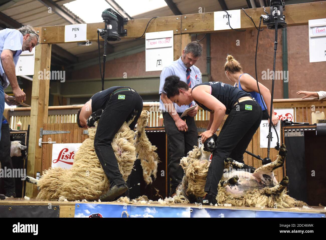 Sheep shearing competition Adam Stockdale & Penny Bell competing at Stafford Show 2018 Stock Photo