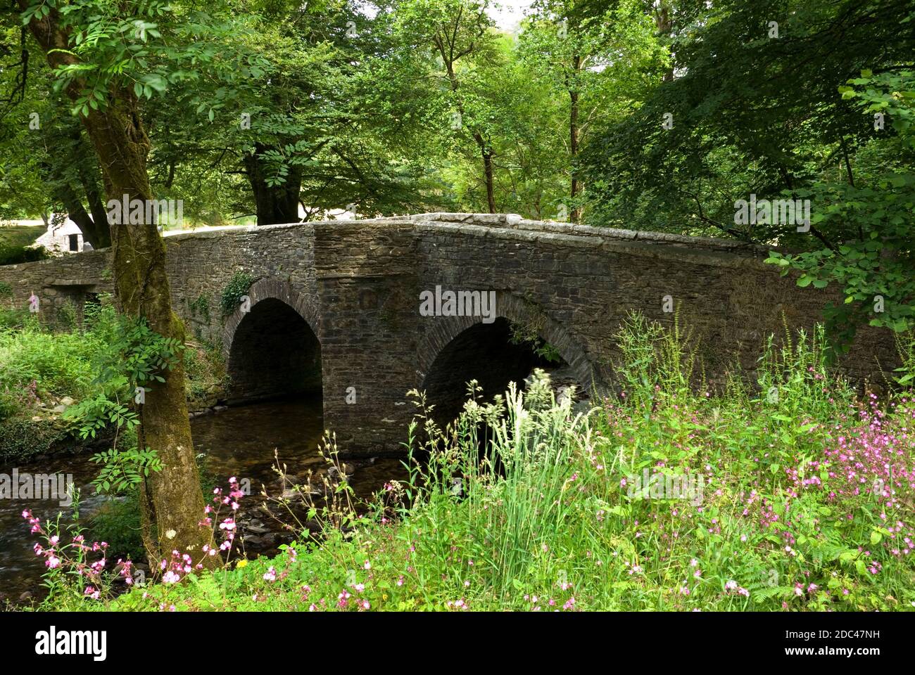 Medieval Bridge. in St. Cleer, Cornwall Stock Photo - Alamy