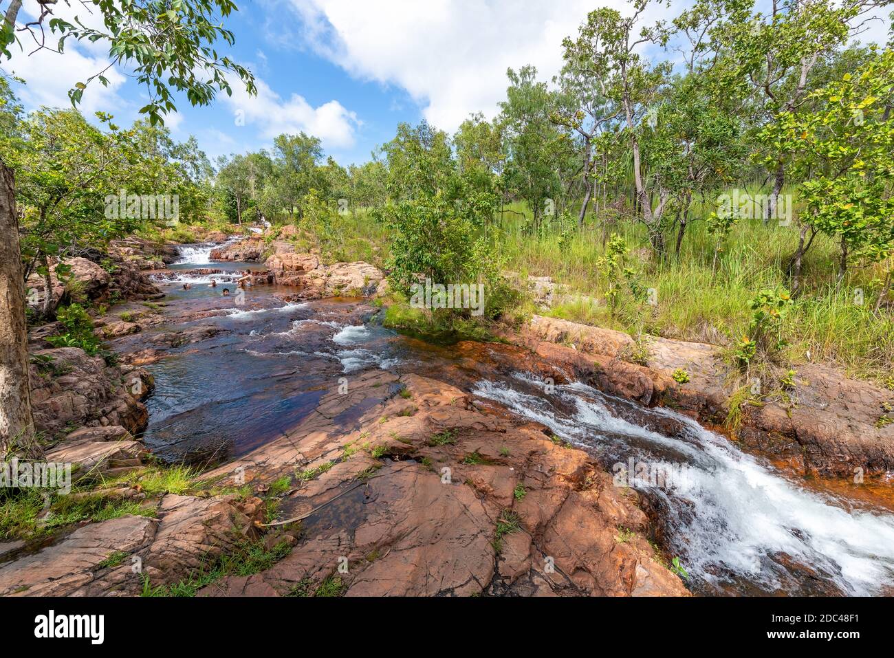 The cascading Buley Rock Holes with lush bushland greenery and fallen trees in Litchfield National Park in the tropical top end of Australia. Stock Photo
