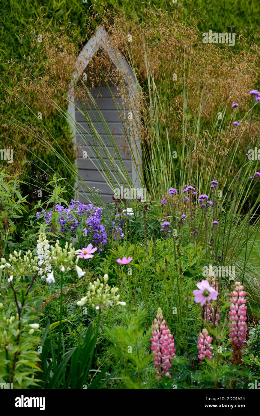 lupin agapanthus verbena cosmos mixed border stipa wooden entrance