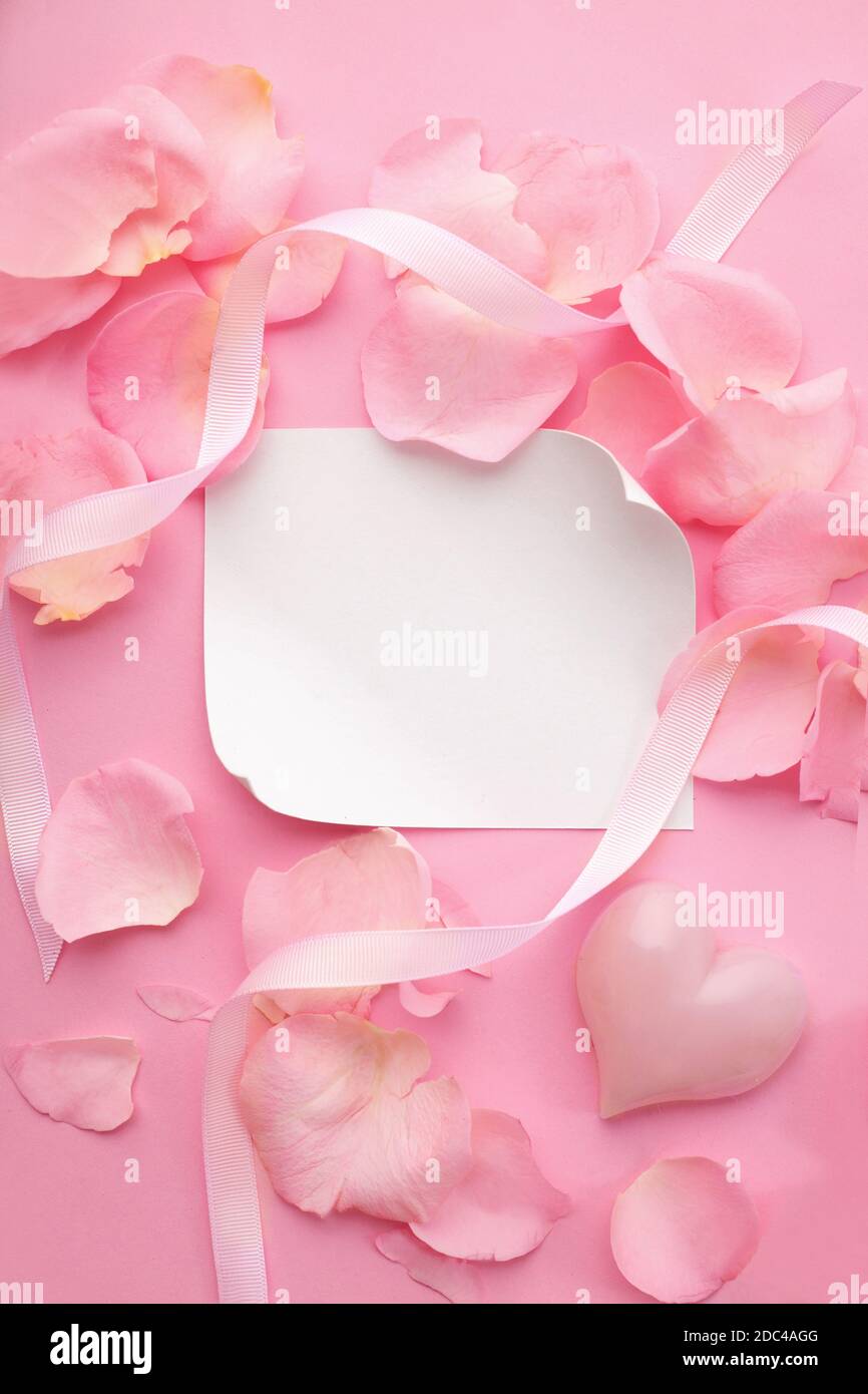 blank card and rose petals on pink background. pink roses frame ...