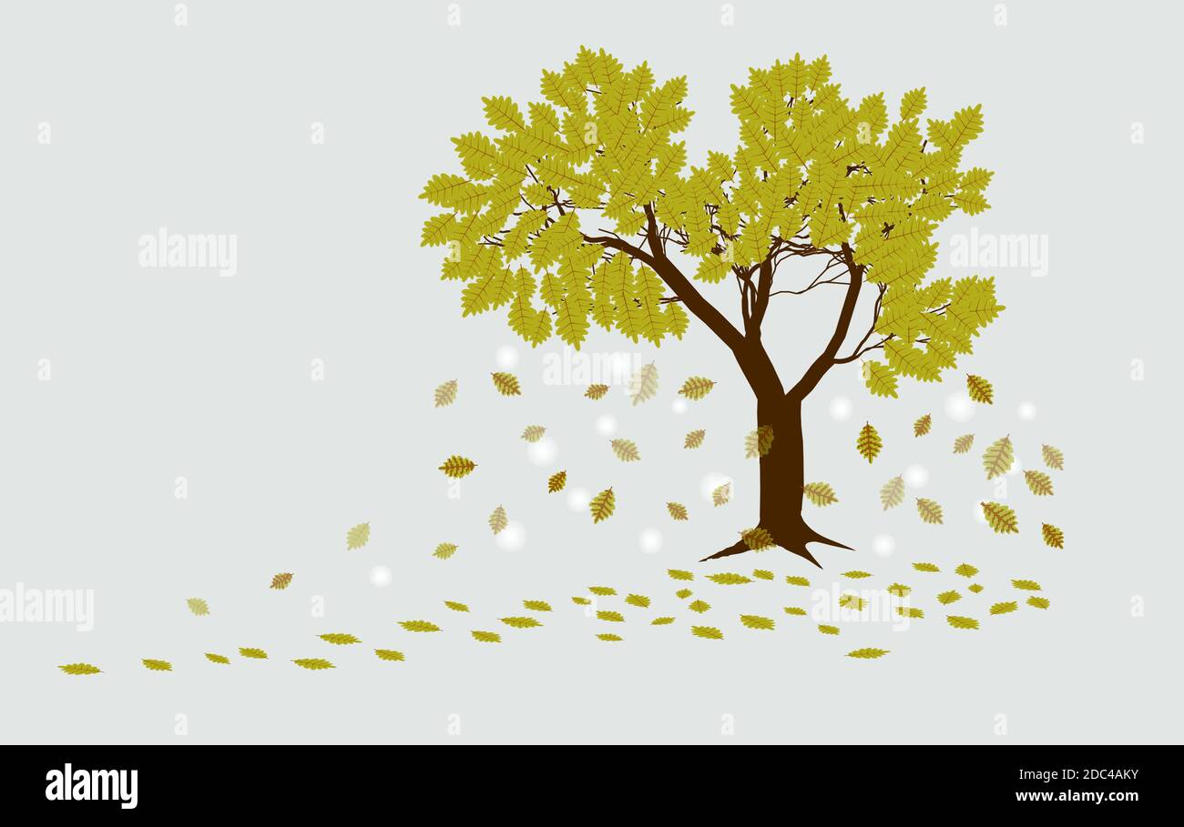 autumn oak tree with falling leaves on a light gray background Stock Vector