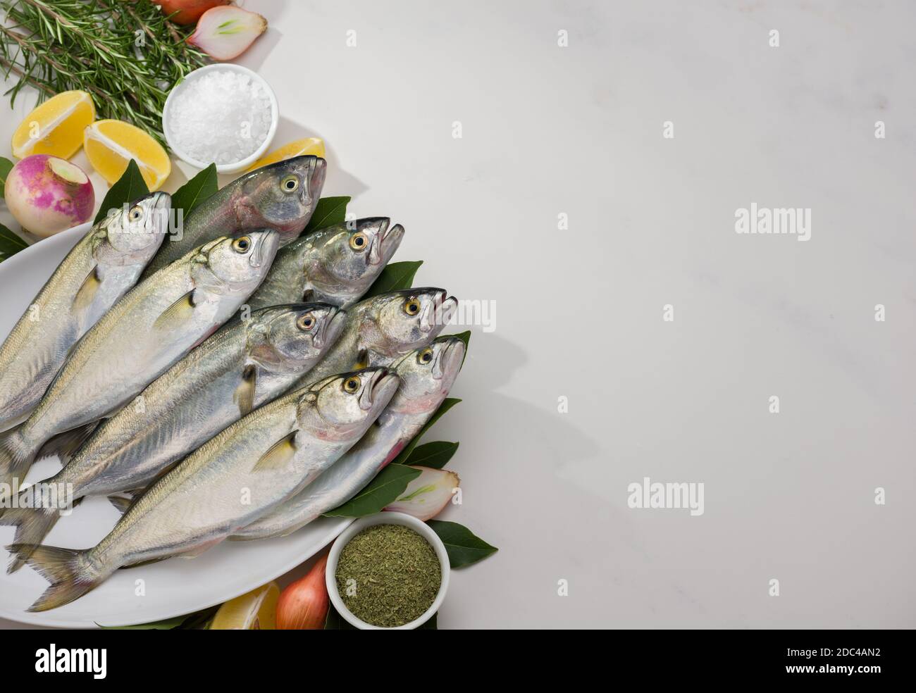 Fresh bluefishes ( Scientific name; Pomatomus saltatrix ) in the plate. Stock Photo