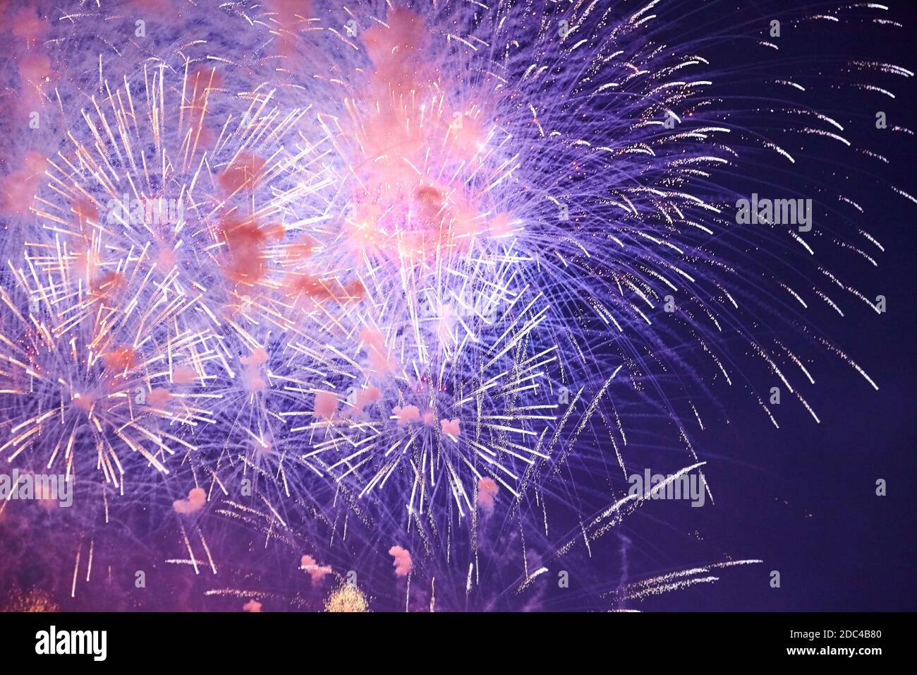 Colorful firework in a night sky Stock Photo