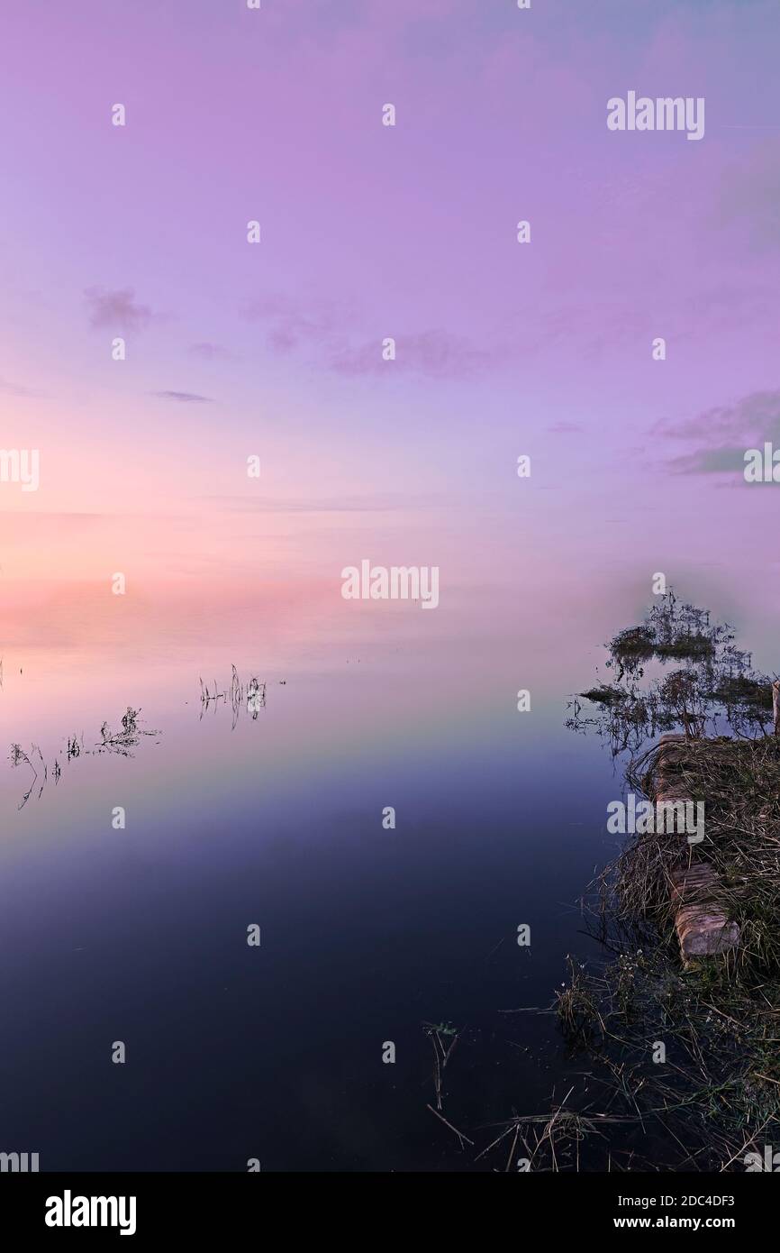Infinite lake shore, no horizon, vegetation, sunset, colors Stock Photo