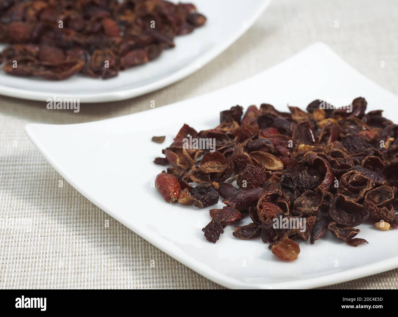 DOG ROSE DRY FRUITS cynorrhodon, DELICIOUS FRUIT FOR MARMELADE Stock