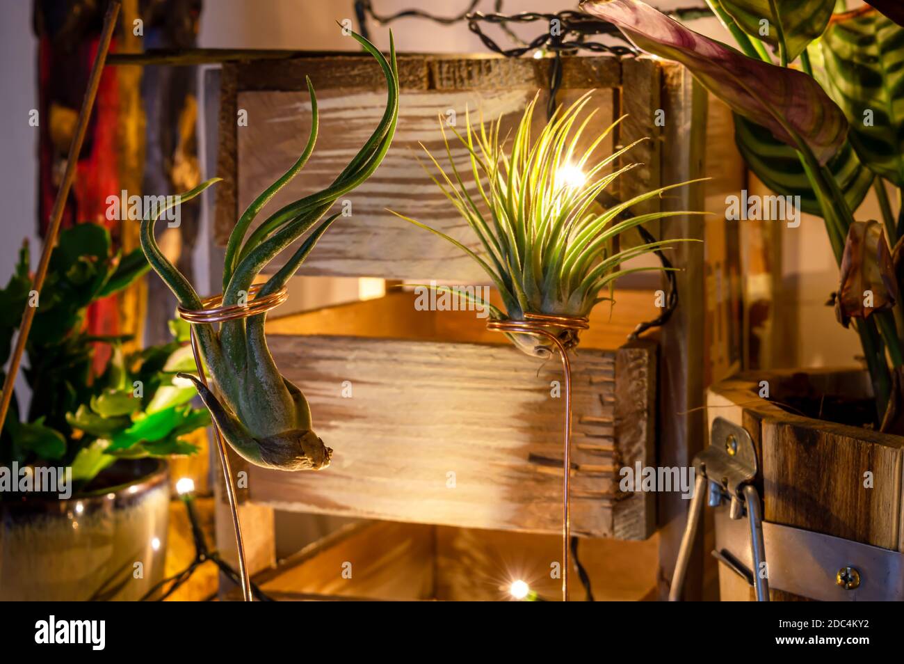 Stand of copper wire hires stock photography and images Alamy