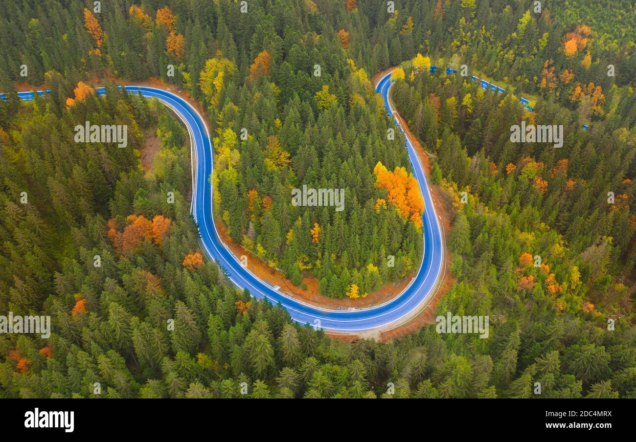 Asphalted road in the autumn mountain forest. Stock Photo