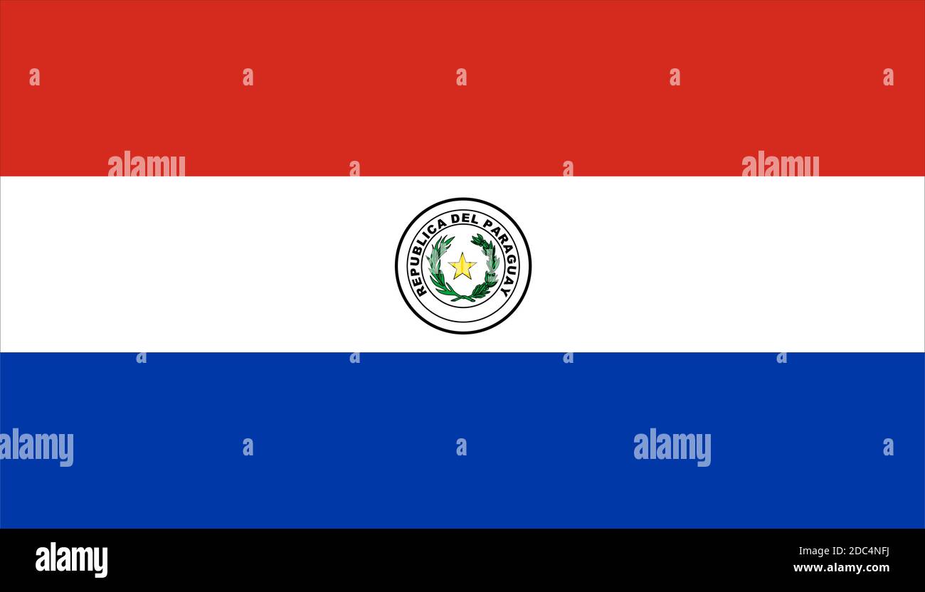 close up flag of Paraguay Stock Vector