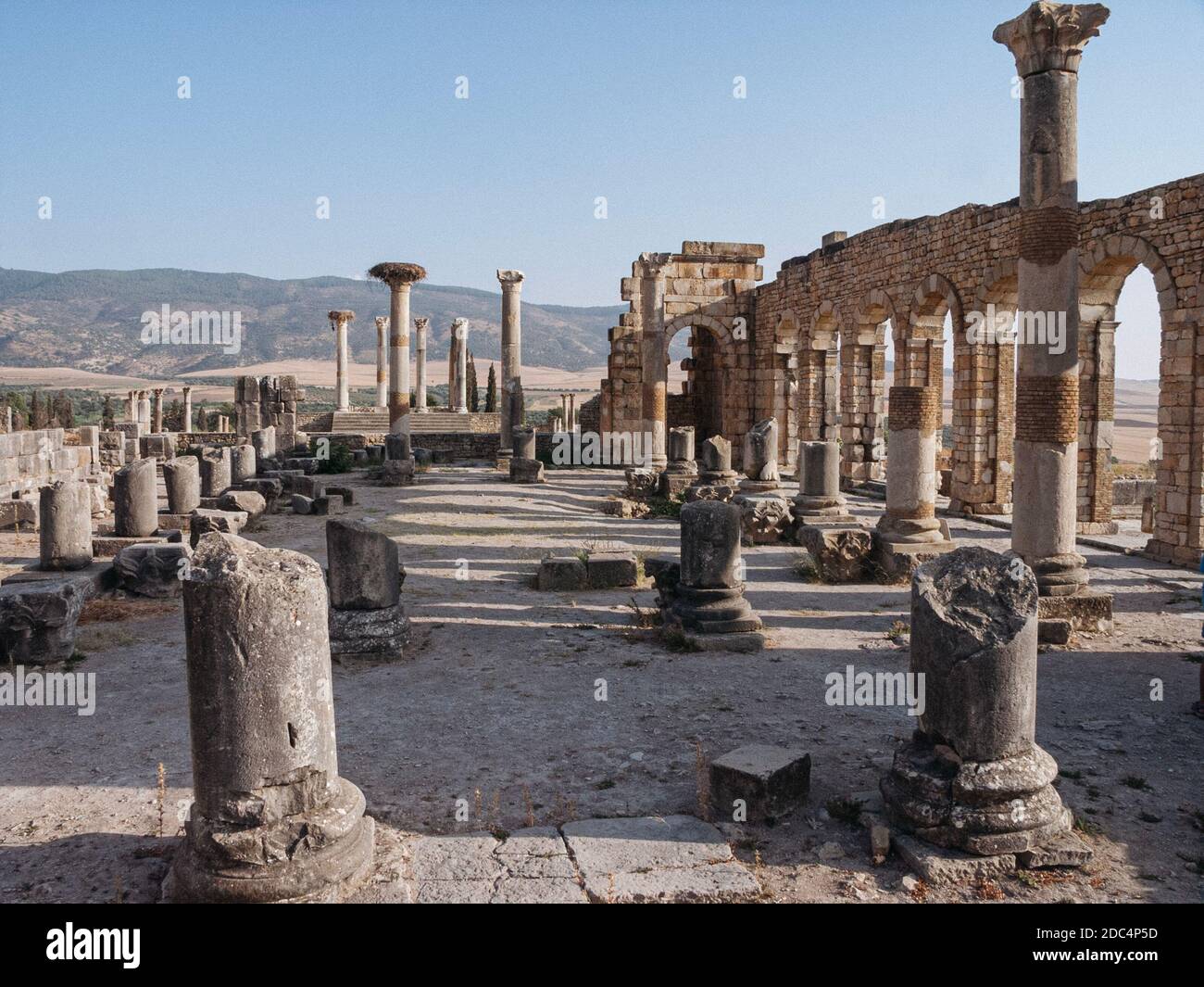 Volubilis Ruins Stock Photo