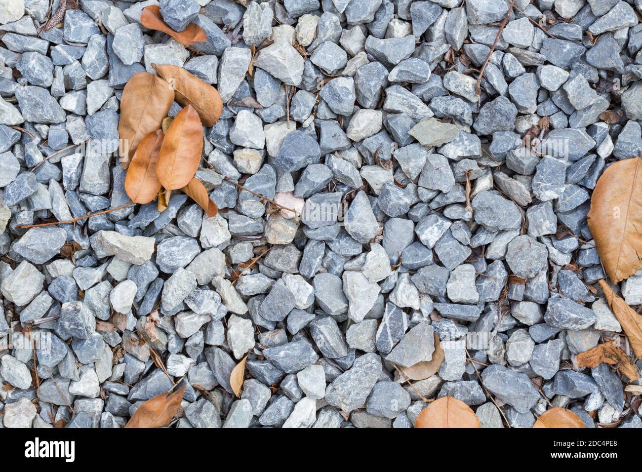 blue rock texture on the ground, with dry leaves, background Stock Photo