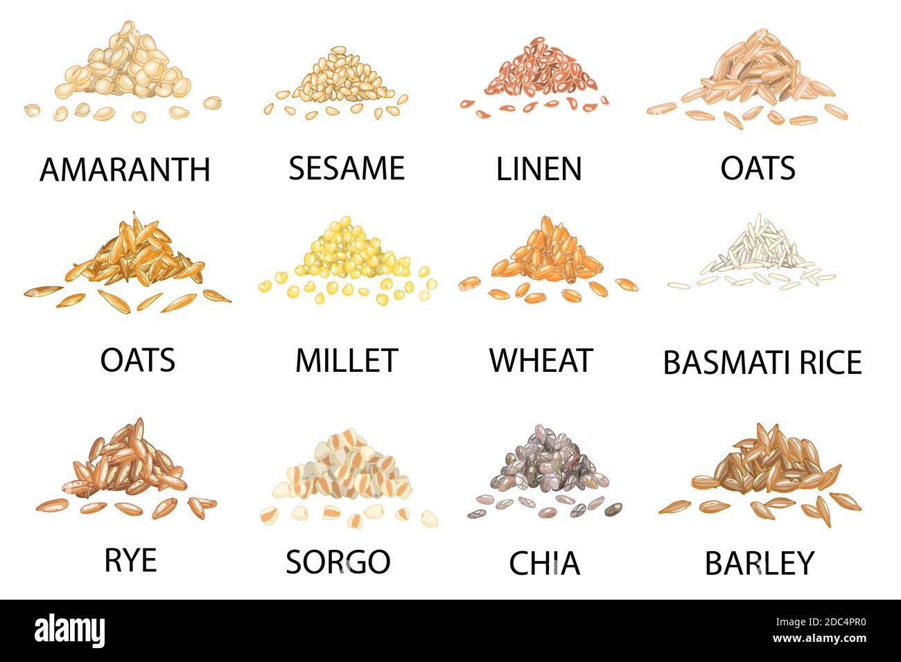Set of hand drawn colored piles of cereal grains isolated on white. Amaranth, sesame, linen, oats, millet, wheat, rye, sorgo, chia, barley, rice. Styl Stock Vector