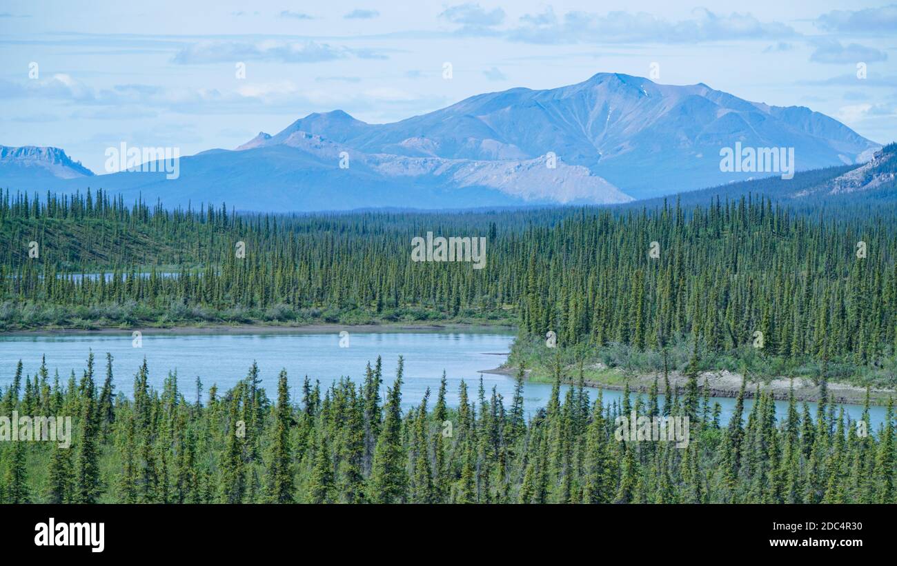 Aerial view of a spruce boreal forest and rivers with the Brooks Range 