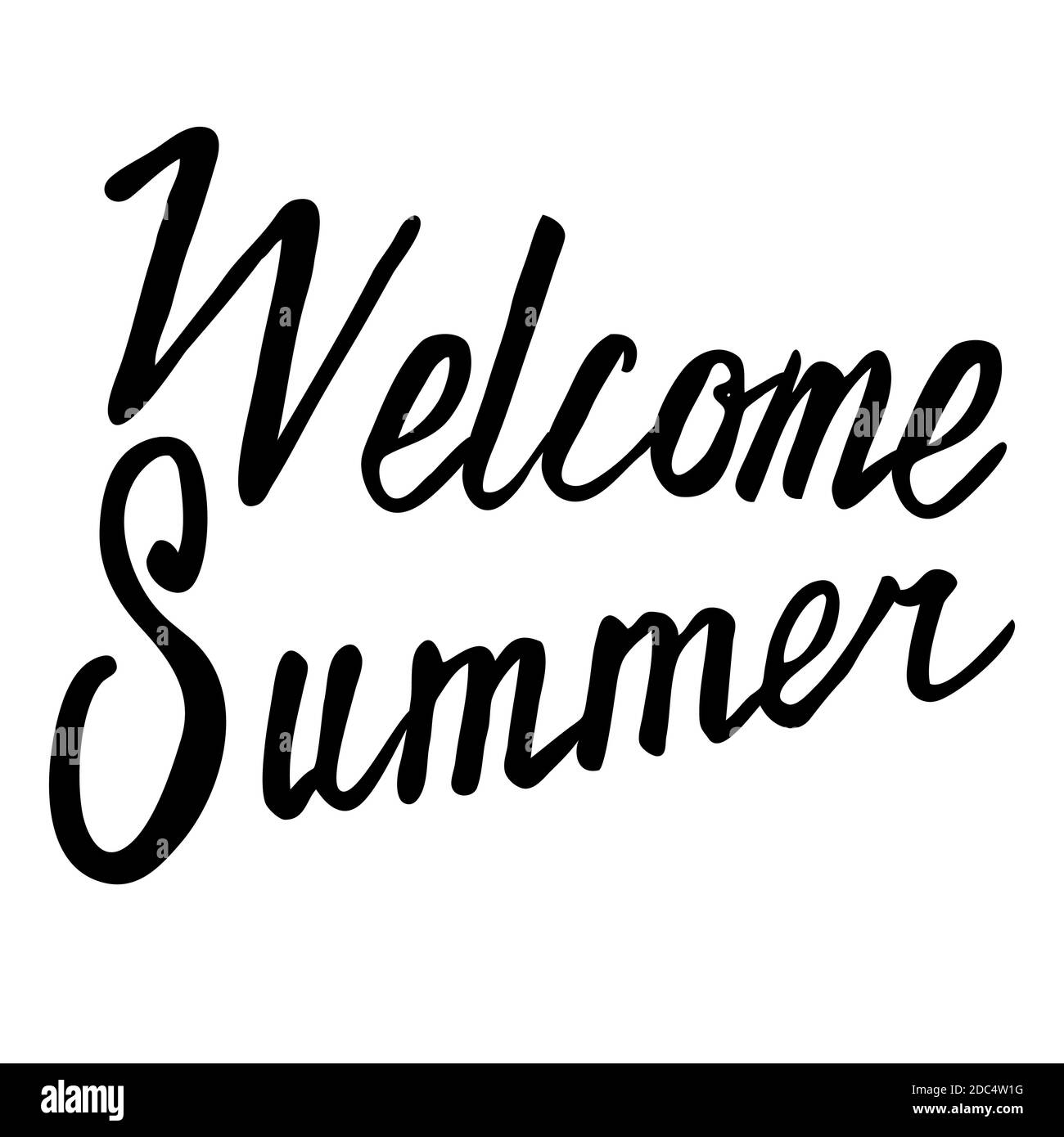 summer hand drawn brush lettering isolated on white background