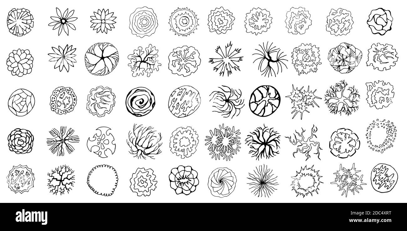 Set of hand drawn stylized top view trees and plants. Graphic, isolated ...