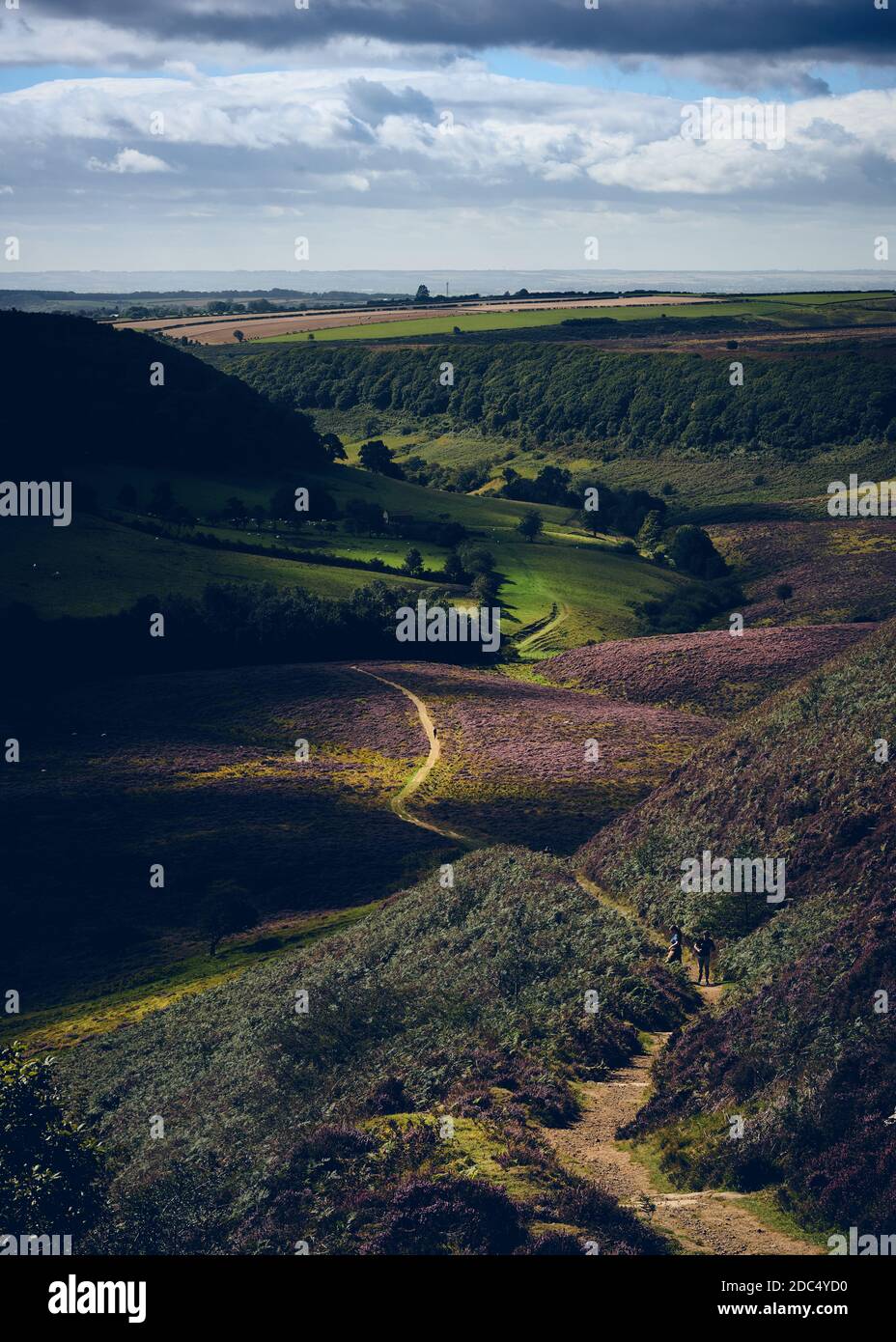 View along the Hole of Horcum, on the North York Moors Stock Photo