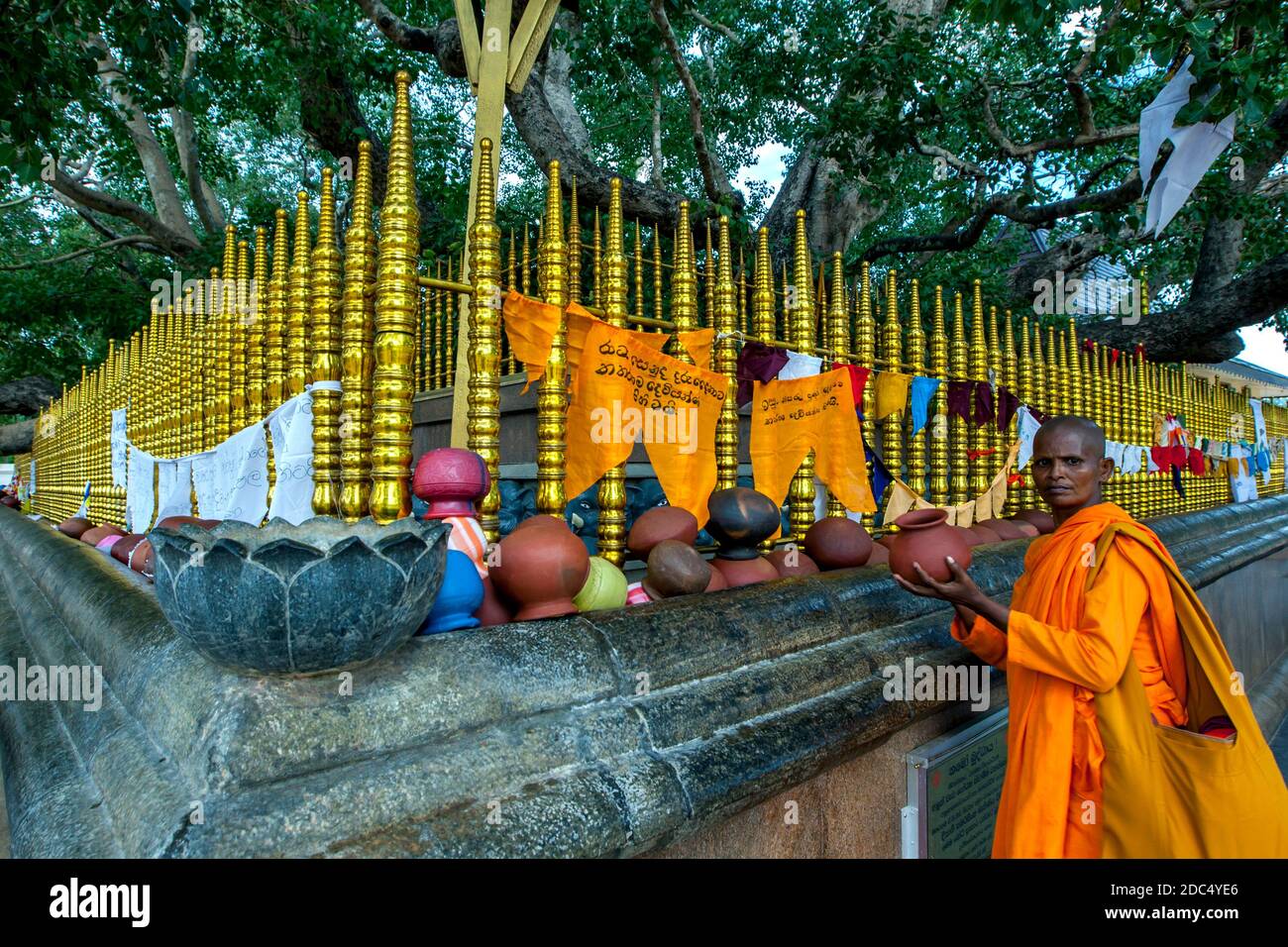 A Female Buddhist Monk Places A Clay Pot Next To The Sacred Bodhi Tree