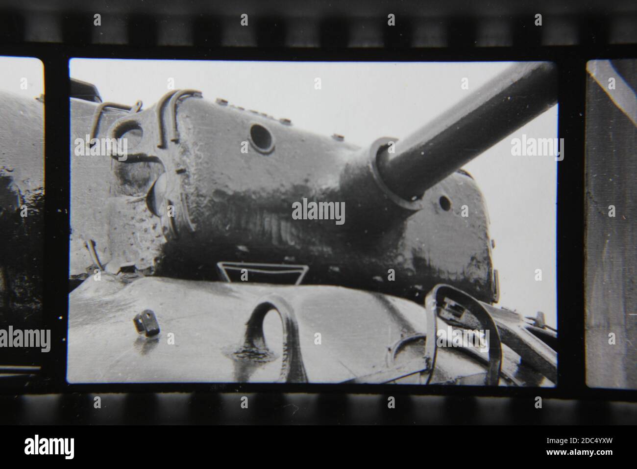 Fine 1970s vintage black and white photography closeup of a formidable ...