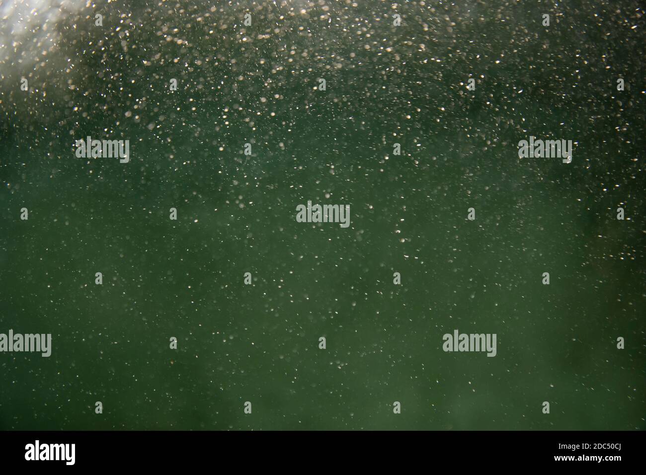 Green water and bubbles abstract background. Macro. Stock Photo