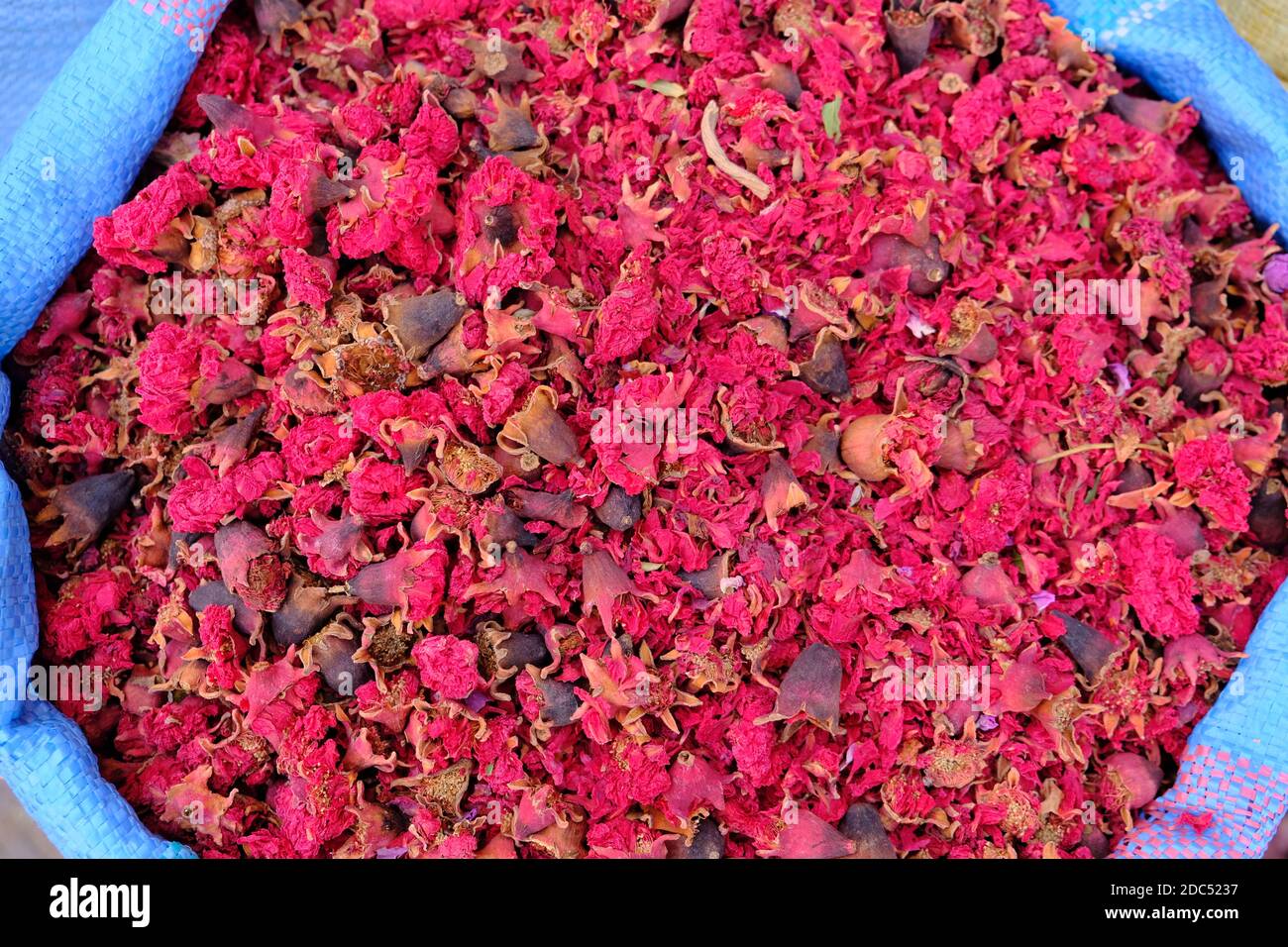 Morocco Marrakesh - Colorful Carnation blossoms of a spice dealer Stock Photo