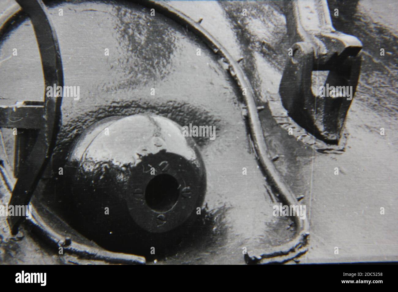 Fine 1970s vintage black and white photography closeup of a formidable ...