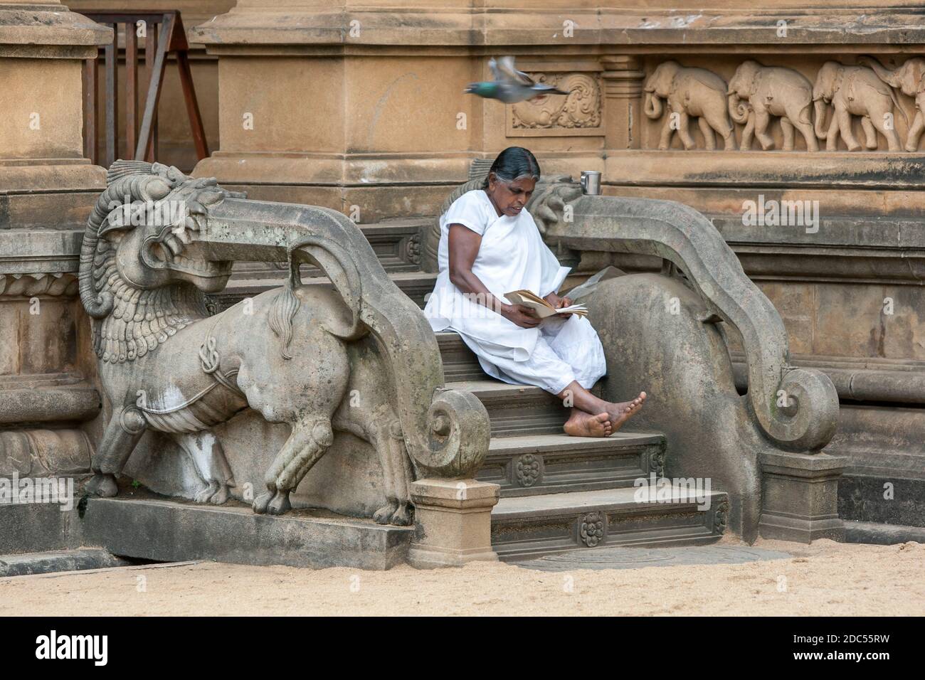 A pilgrim to the Kelaniya Raja Maha Vihara near Colombo in Sri Lanka sits on the steps to the shrine room. Buddhists believe the temple to be hallowed Stock Photo