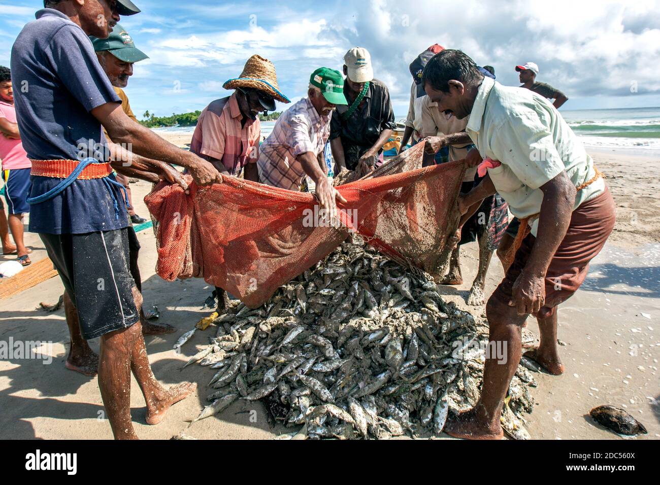 Beach Seine fishermen remove a good catch of fish from their nets on  Uppuveli beach on the east coast of Sri Lanka Stock Photo - Alamy