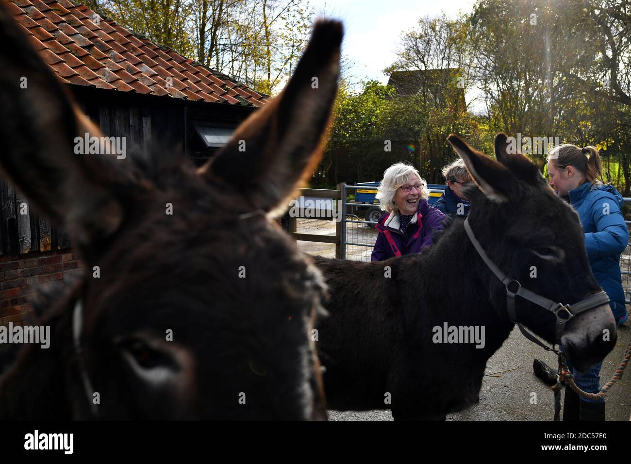 What to visit in lowestoft hires stock photography and images Alamy