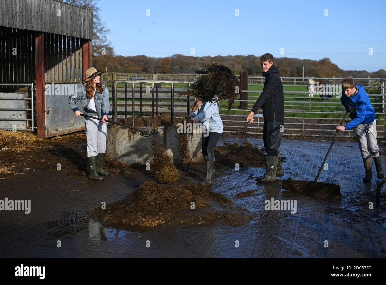 Muck out hires stock photography and images Alamy