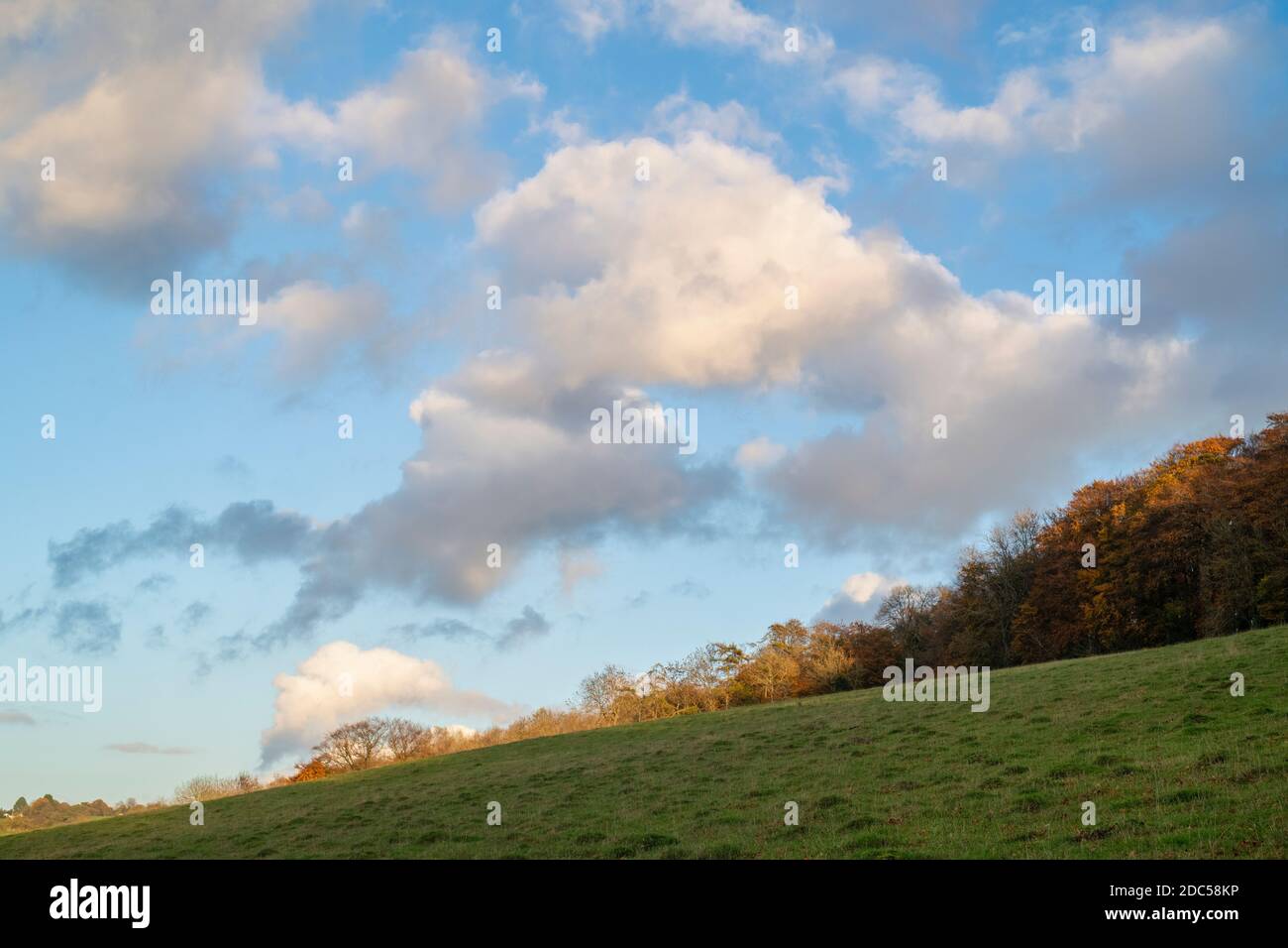 Autumn trees and clouds in the afternoon light along the chiltern way. Fingest, Buckinghamshire, England Stock Photo