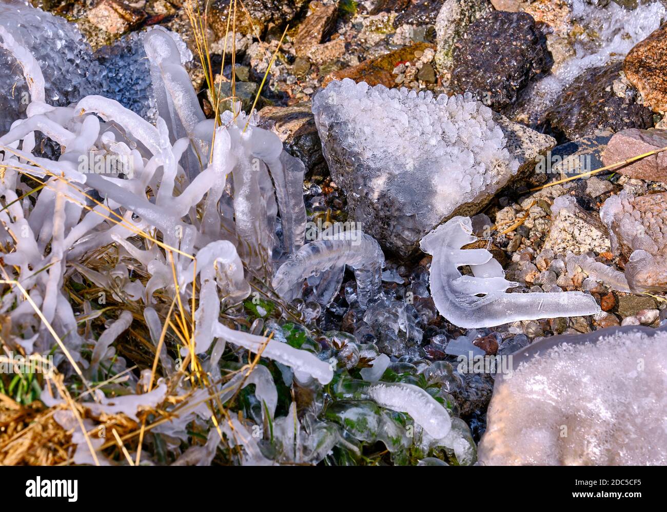 Bizarre ice shard in the riverbed, autumn grass covered with shiny beautiful ice in close proximity to the river; first autumn frosts and approaching Stock Photo