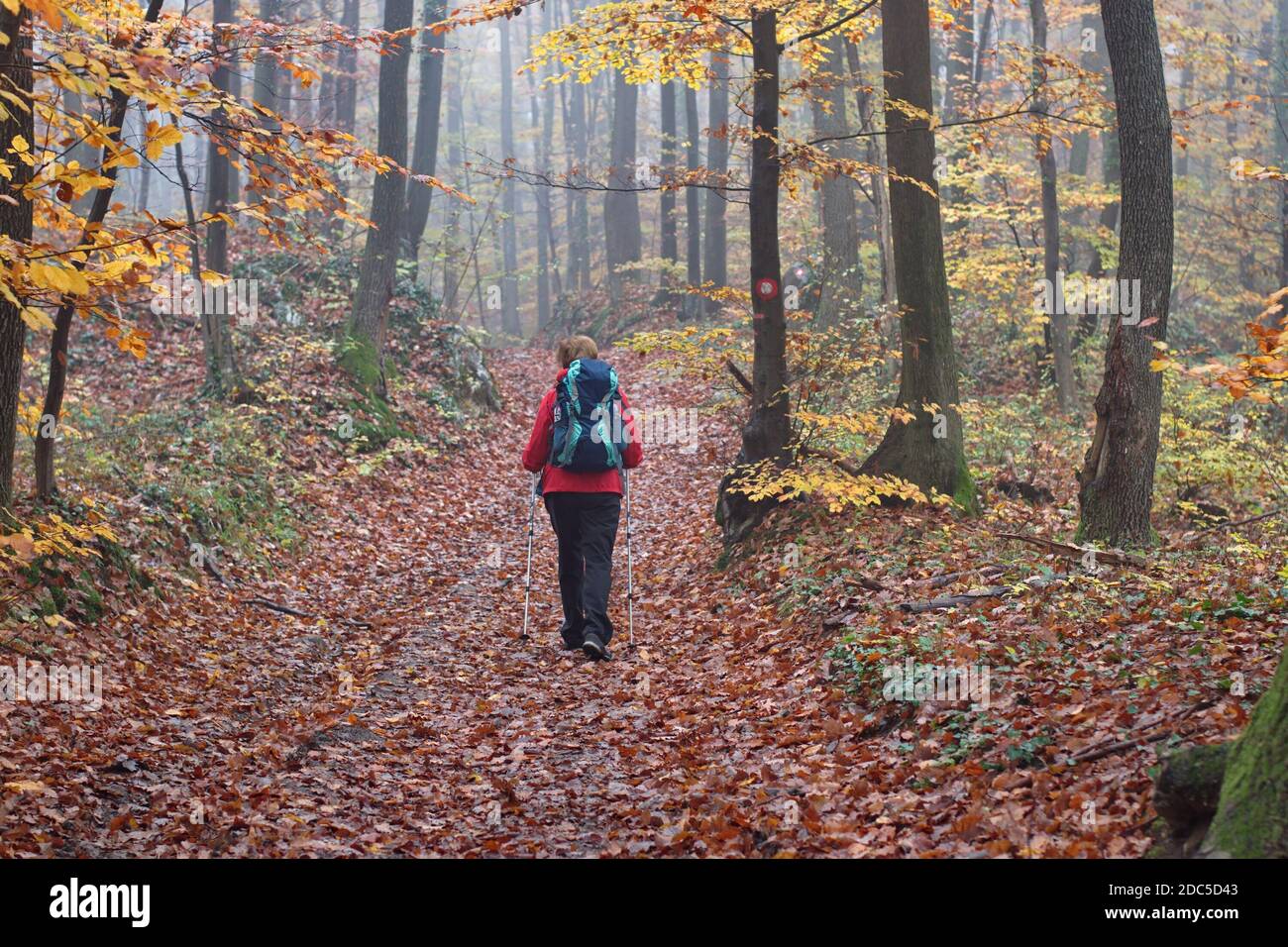 Beautiful woman hiking leaves hi-res stock photography and images - Alamy