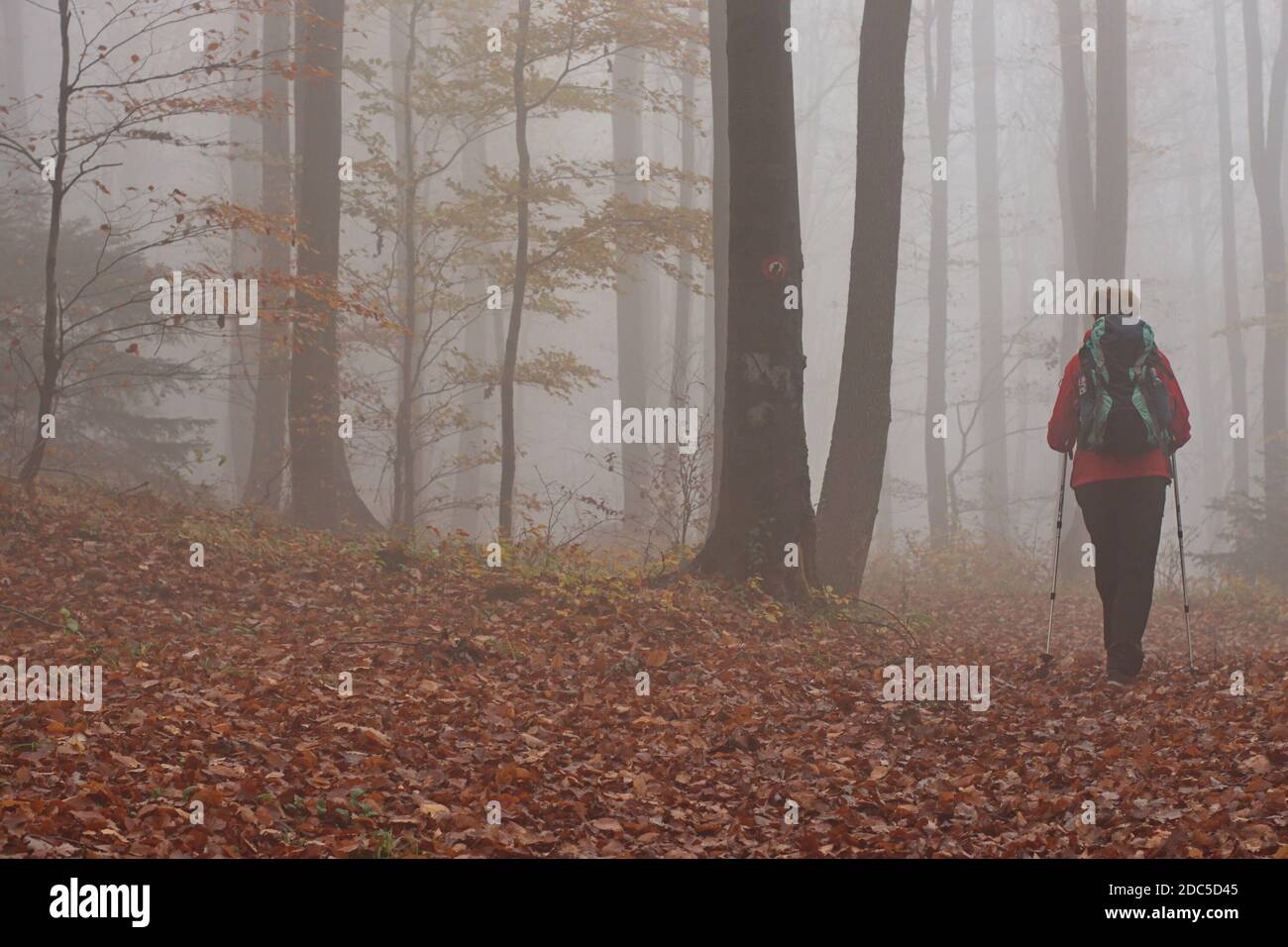 Beautiful woman hiking leaves hi-res stock photography and images - Alamy