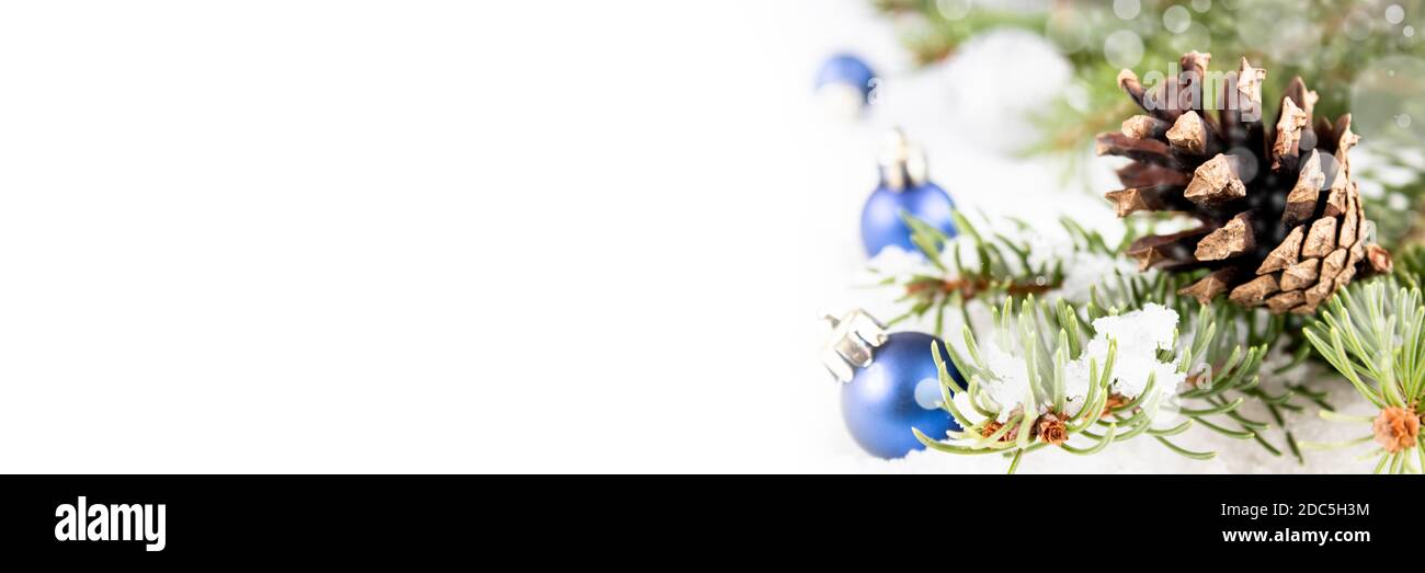 Christmas and New Year banner with a pine cone on a green spruce branch and blue balls on a white background. Christmas composition with copy space. Stock Photo