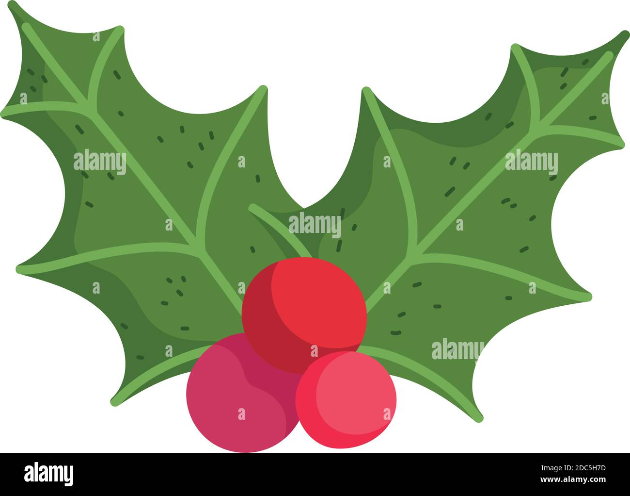 merry christmas, holly berry decoration icon isolation vector ...