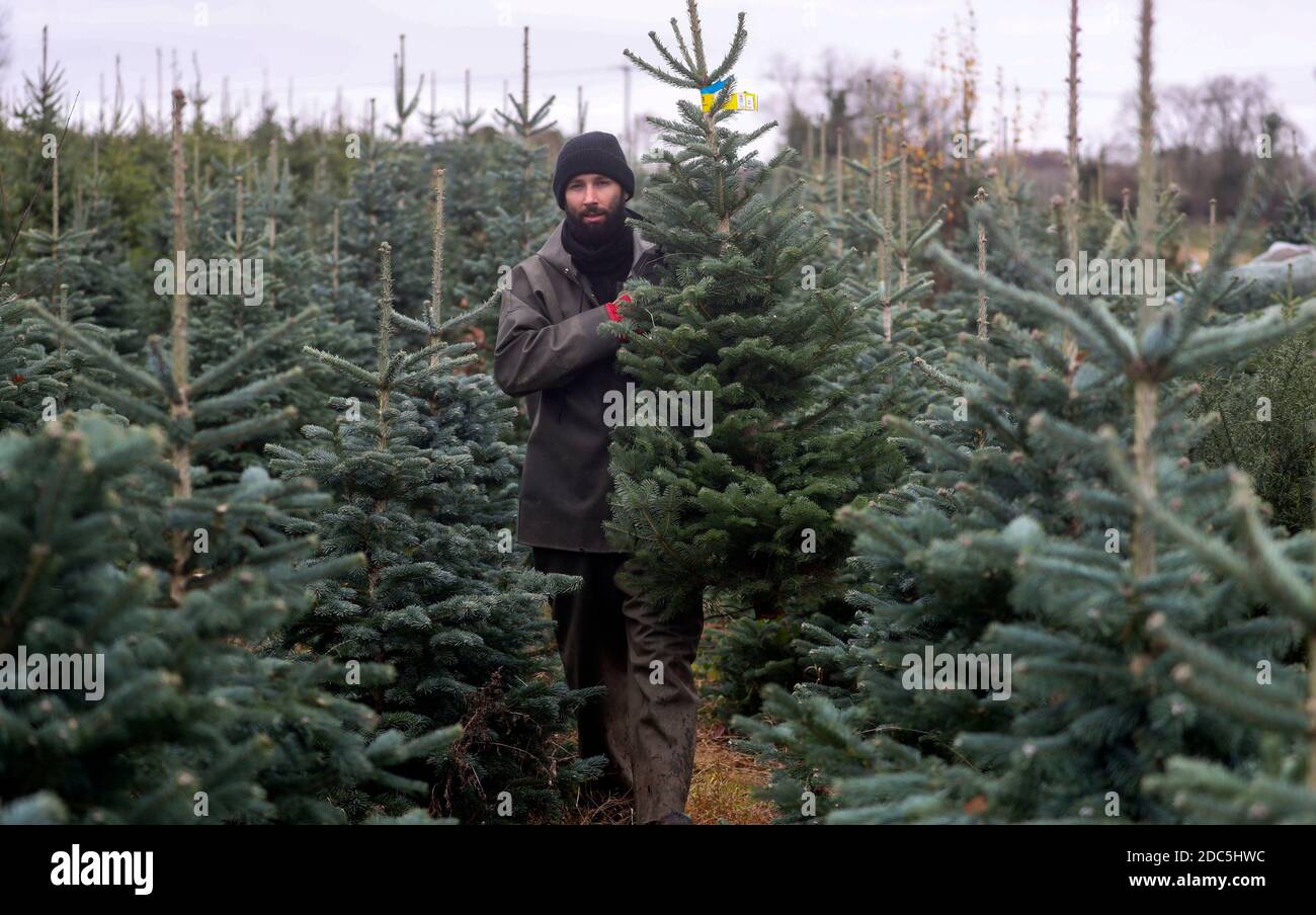 Christmas common oxfordshire hires stock photography and images Alamy