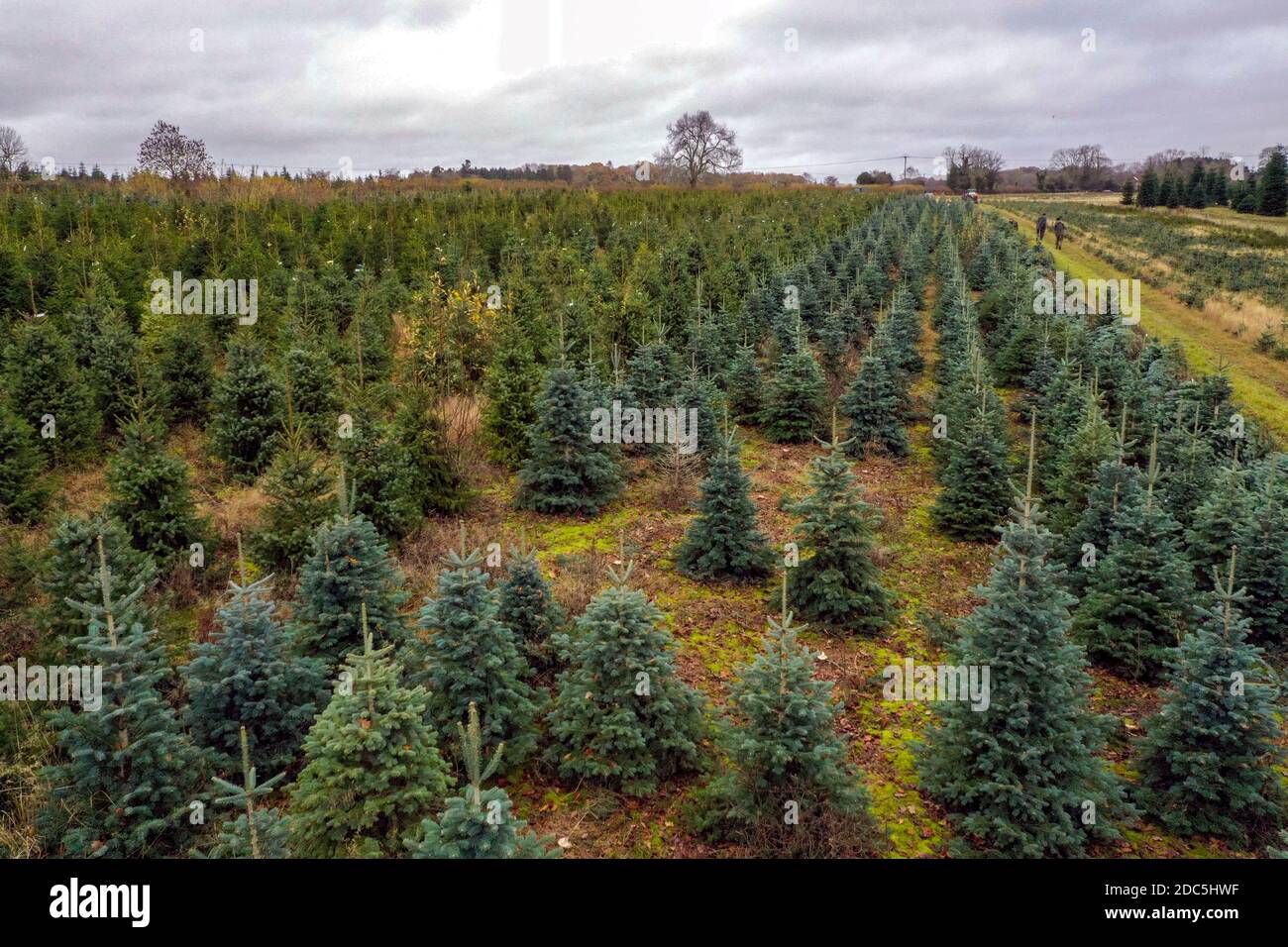 Christmas common oxfordshire hires stock photography and images Alamy