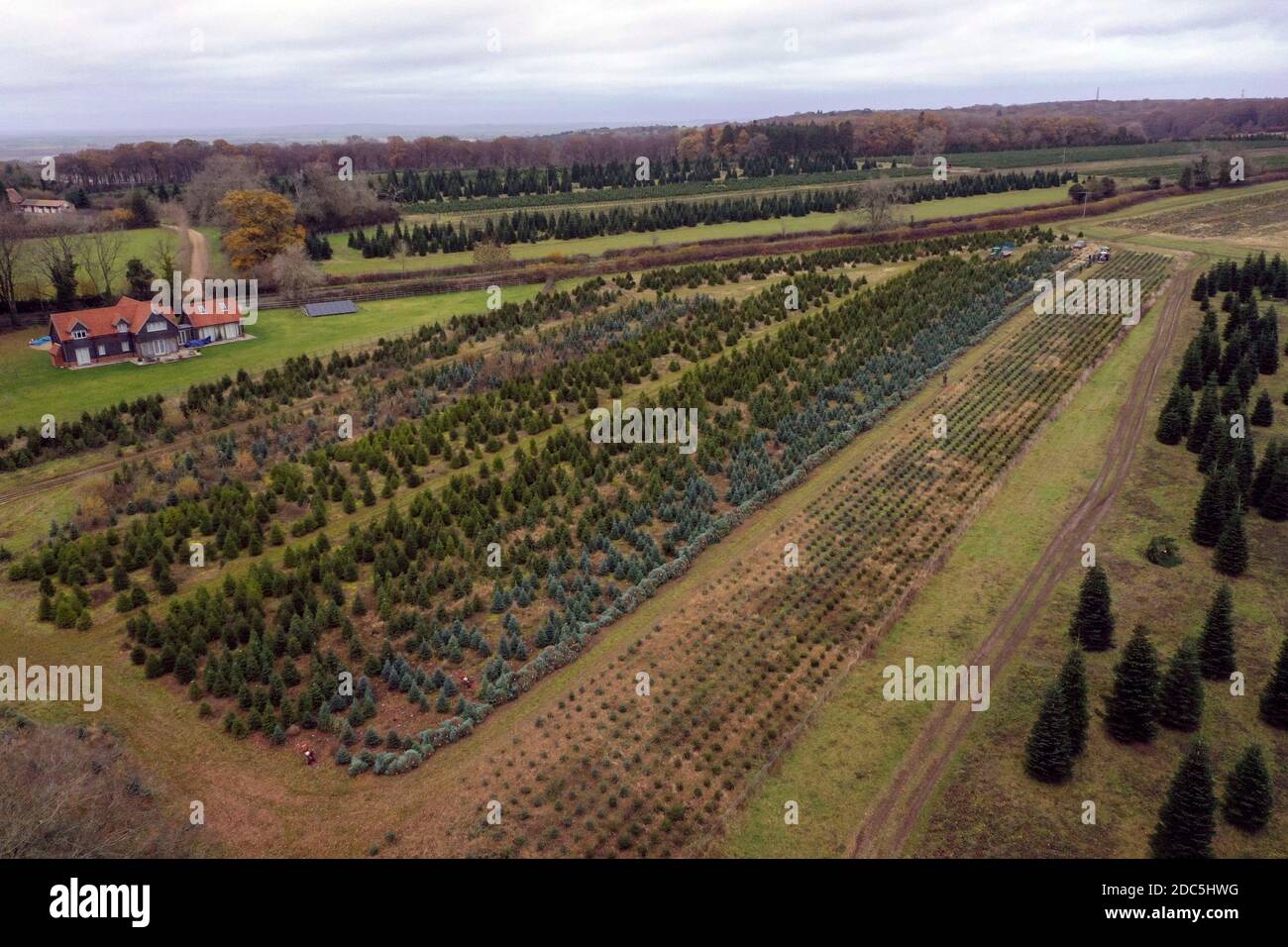 Christmas common oxfordshire hires stock photography and images Alamy