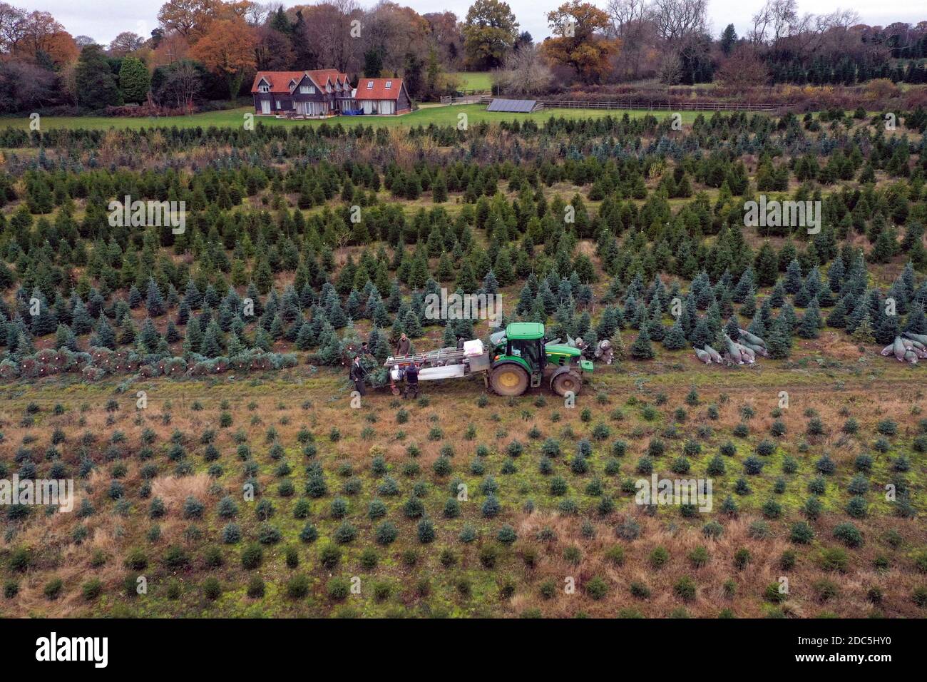 Christmas common oxfordshire hires stock photography and images Alamy