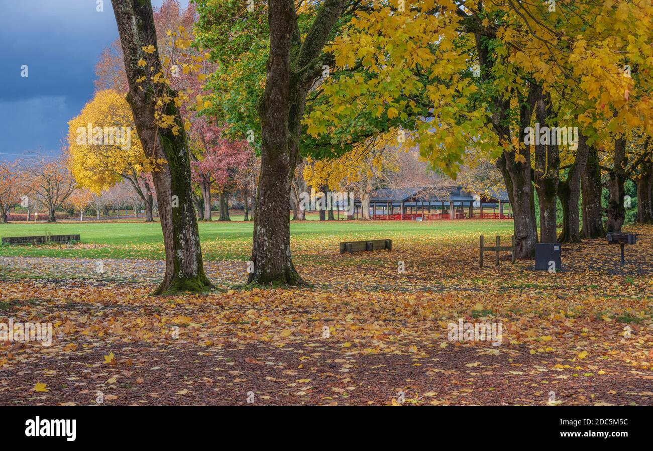 Stormy weather in a public park a colorful landscape Oregon Stock Photo ...