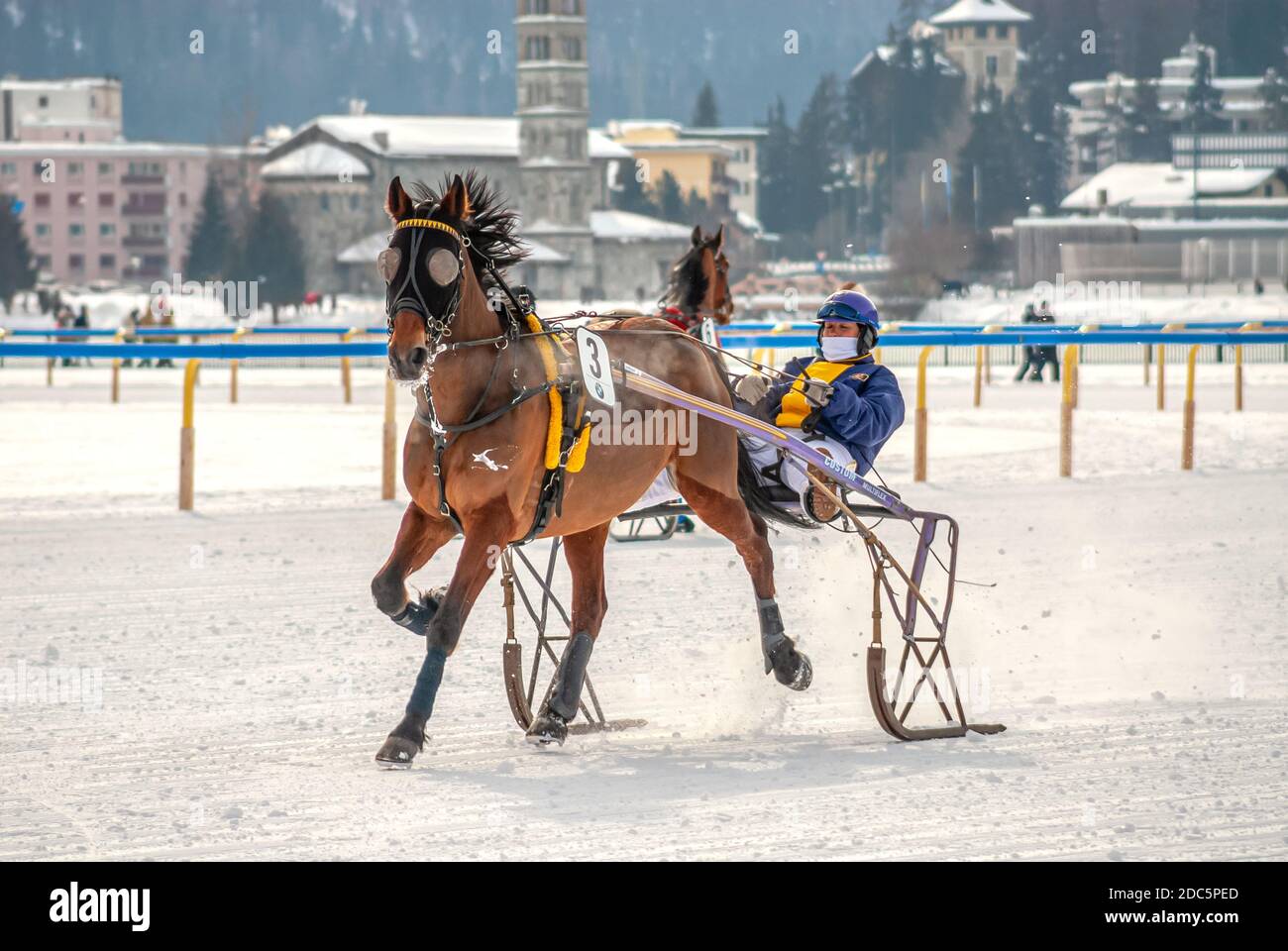 Single horse during a trotting race during White Turf in St.Moritz, Switzerland Stock Photo