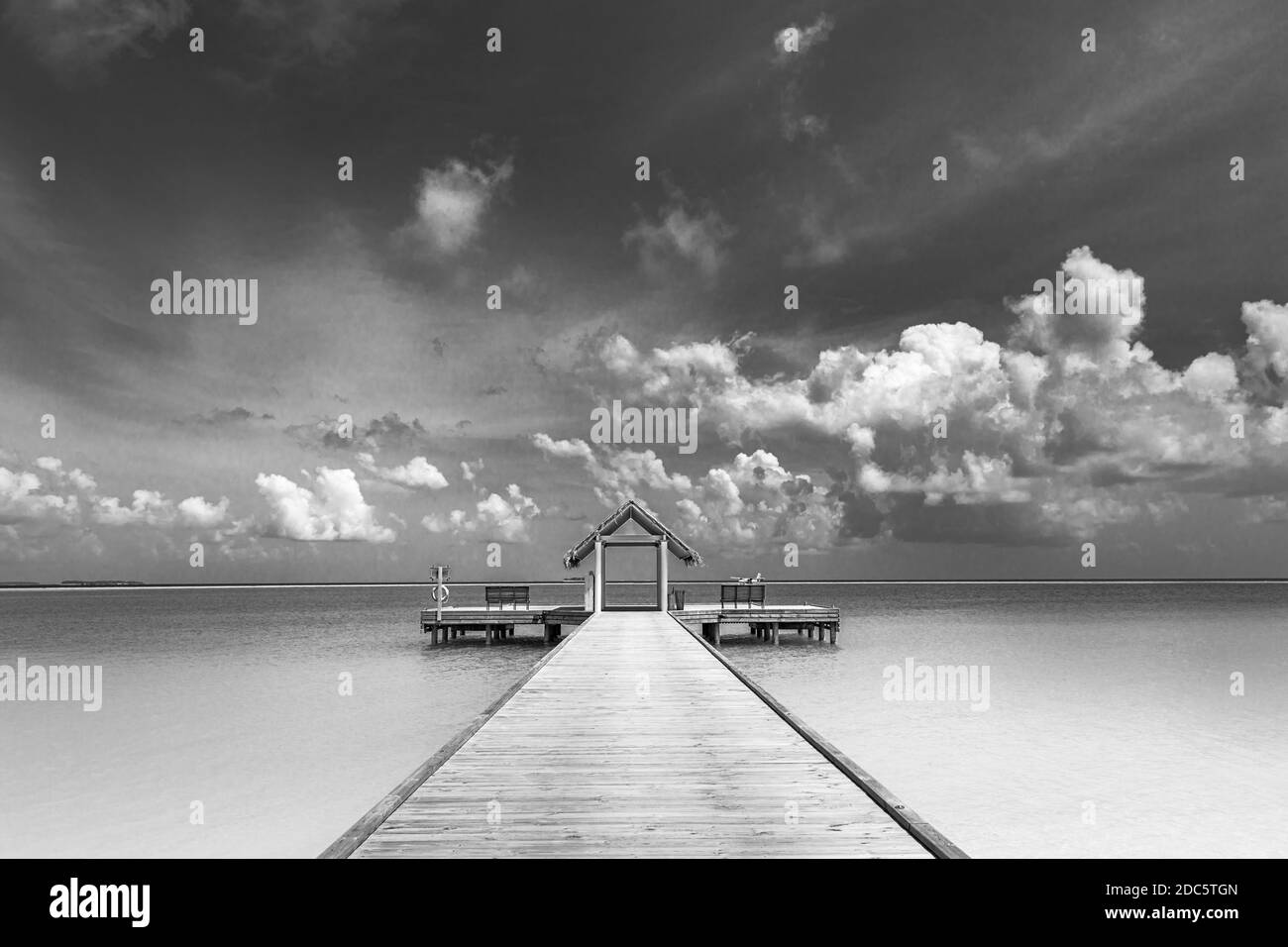 Perfect black and white beach scene. Sunset, sunrise silhouette of