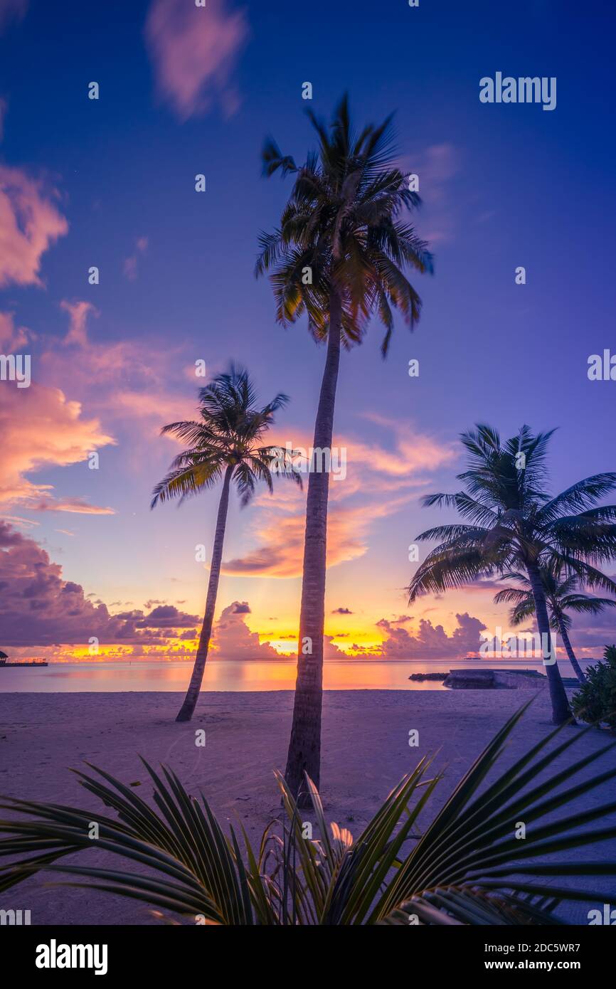 Coconut palms on sand beach in tropical island. Art beautiful sunrise over the tropical beach, paradise landscape, romantic summer destination Stock Photo