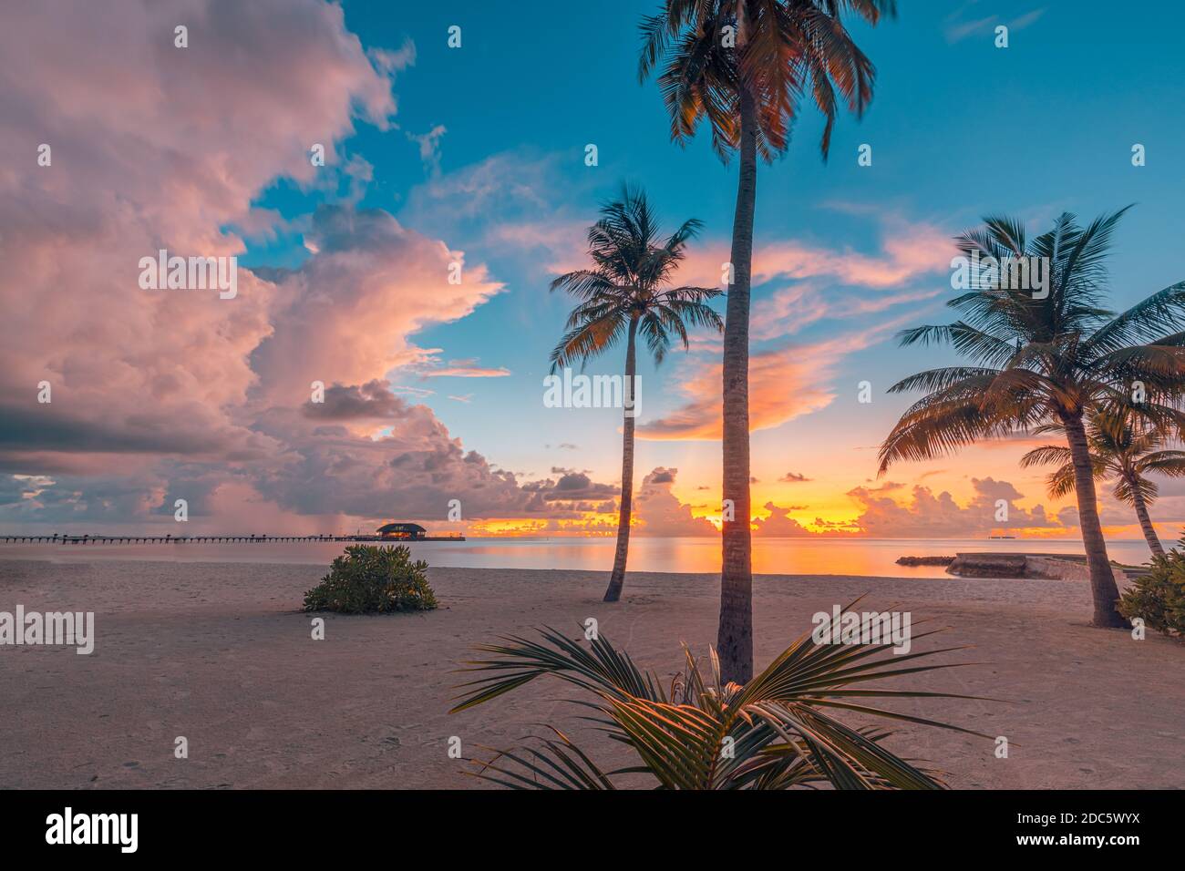 Coconut palms on sand beach in tropical island. Art beautiful sunrise over the tropical beach, paradise landscape, romantic summer destination Stock Photo